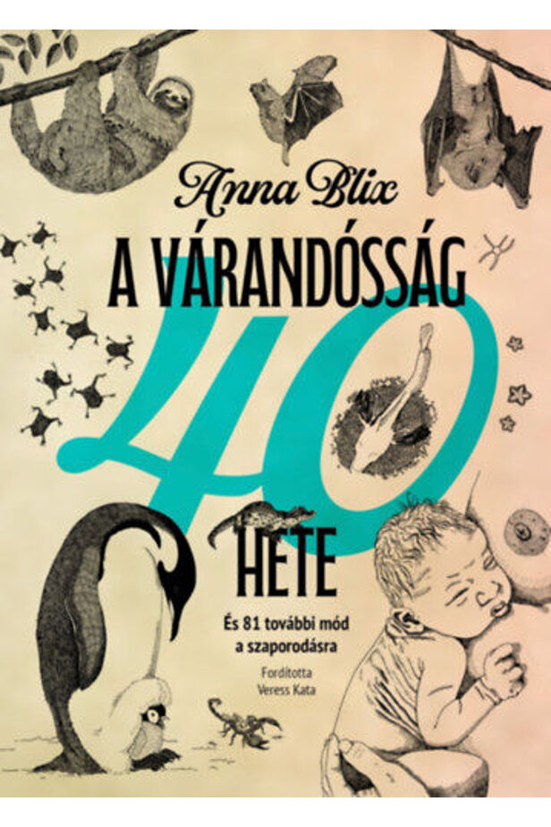 A várandósság 40 hete