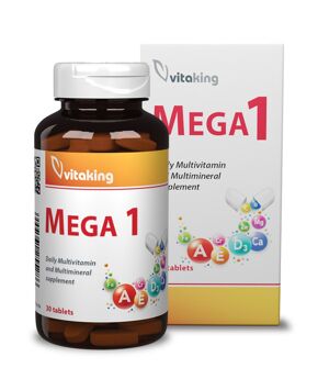 Mega1 Multivitamin