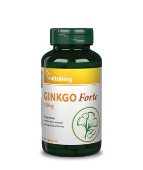 Ginkgo Biloba Forte 120mg
